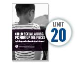Image: Child Sexual Abuse: Picking up the Pieces
