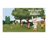 Image: Baxter Bunny Brings his Buddies Video Read-Along Storybook